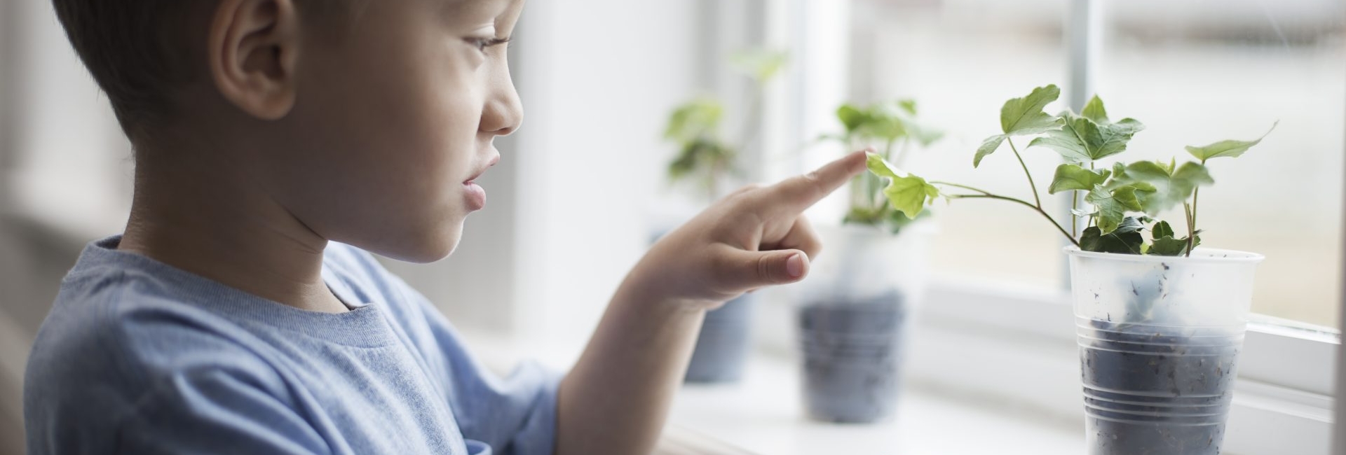 Petit garçons observant les plantes en pot sur un rebord de fenêtre